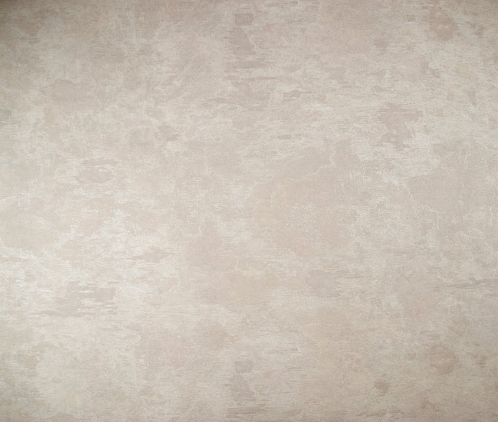 Queen Elizabeth Shell White Wallpaper 35311