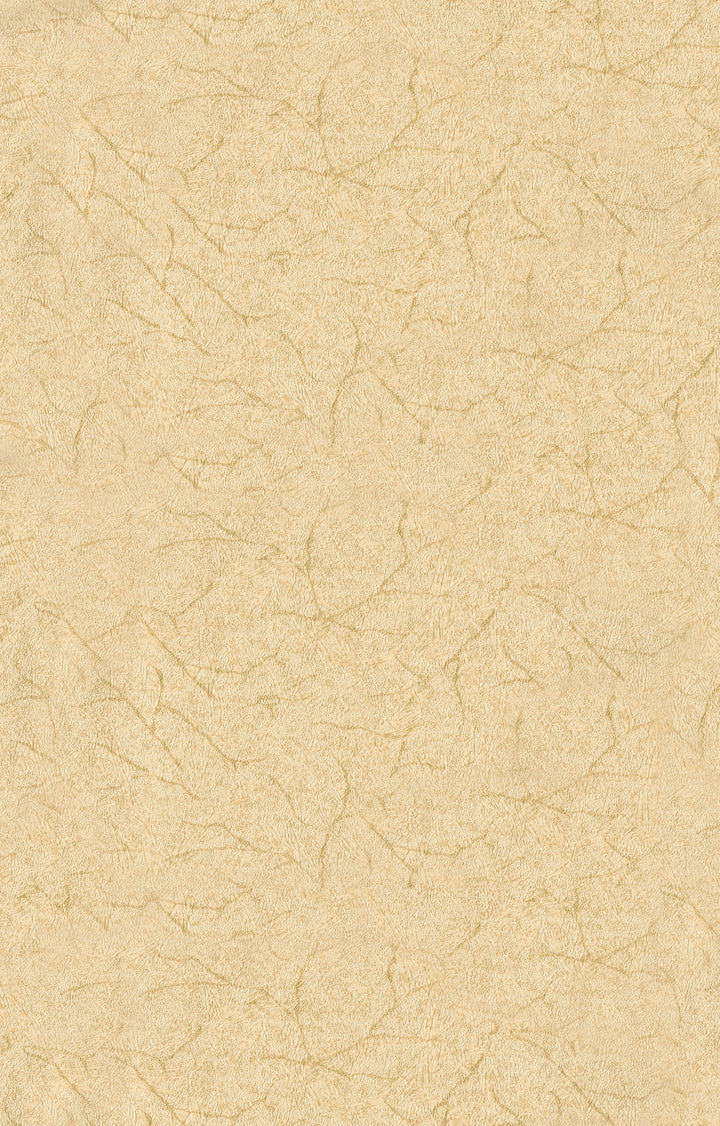 Cambridge Apricot Beige Wallpaper 43714