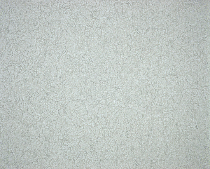 Brighton Cloud Grey Wallpaper 461-35