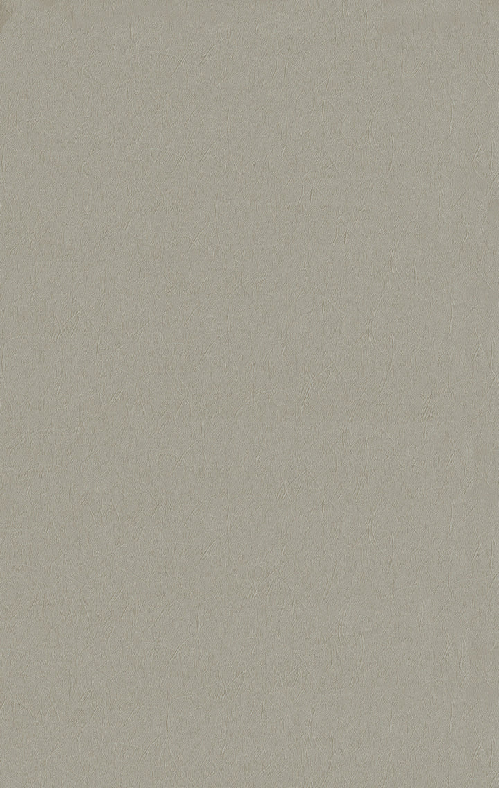Windsor Latte Wallpaper 6117