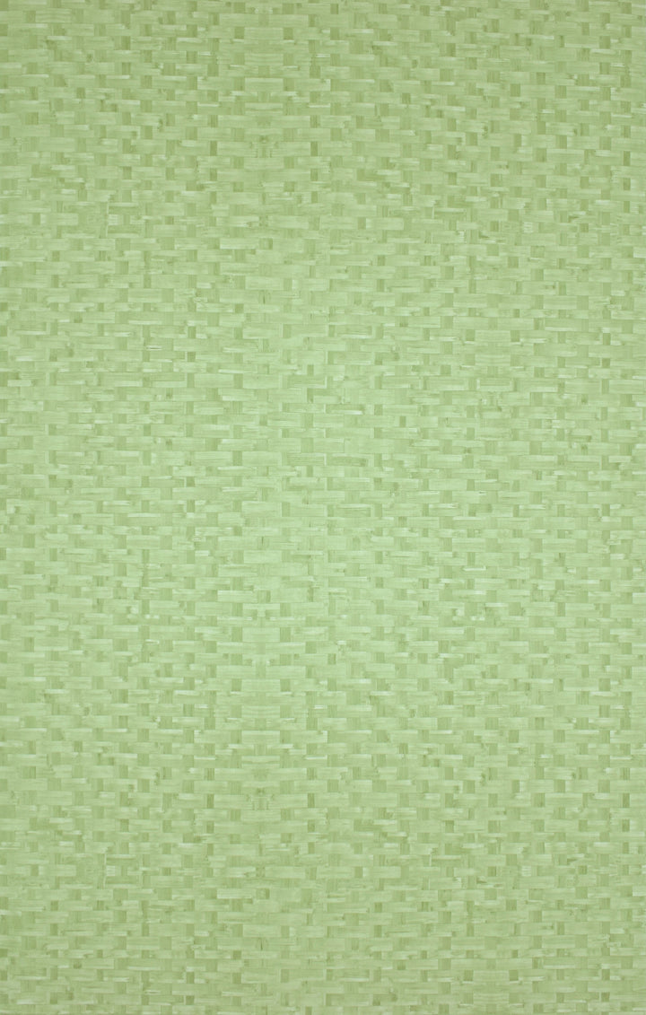 Tottenham Sage Plain Wallpaper 973313