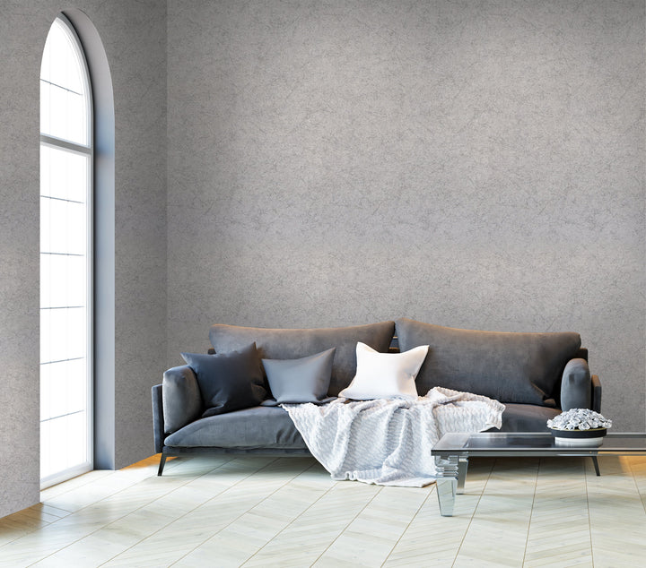 Prince Charles Grey Dust Wallpaper 77609