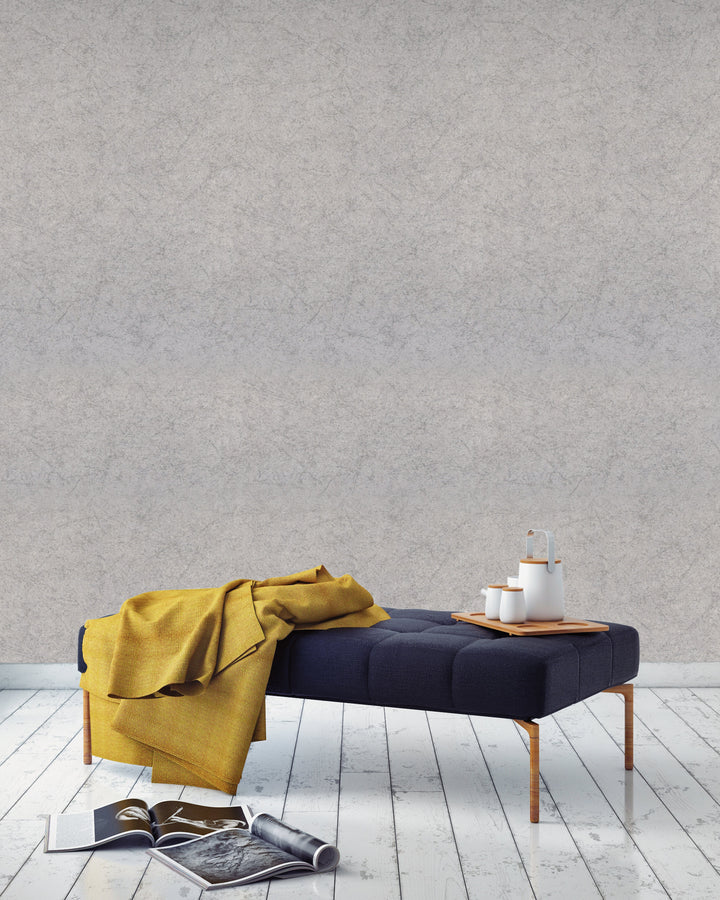 Prince Charles Grey Dust Wallpaper 77609