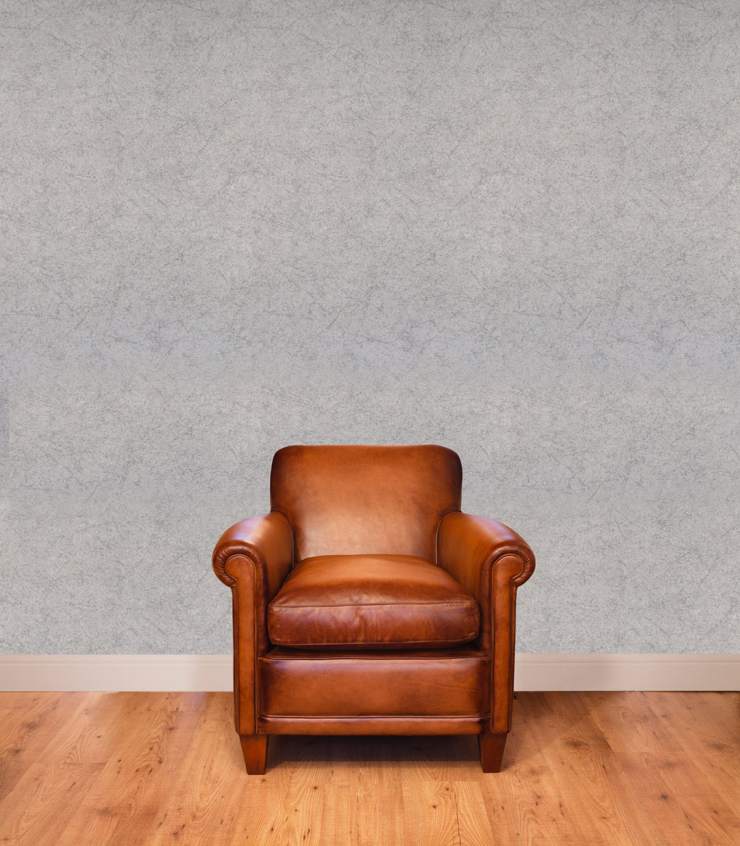 Prince Charles Grey Dust Wallpaper 77609