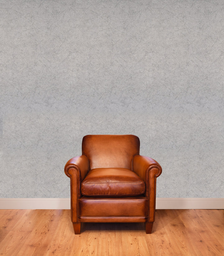 Prince Charles Grey Dust Wallpaper 77609