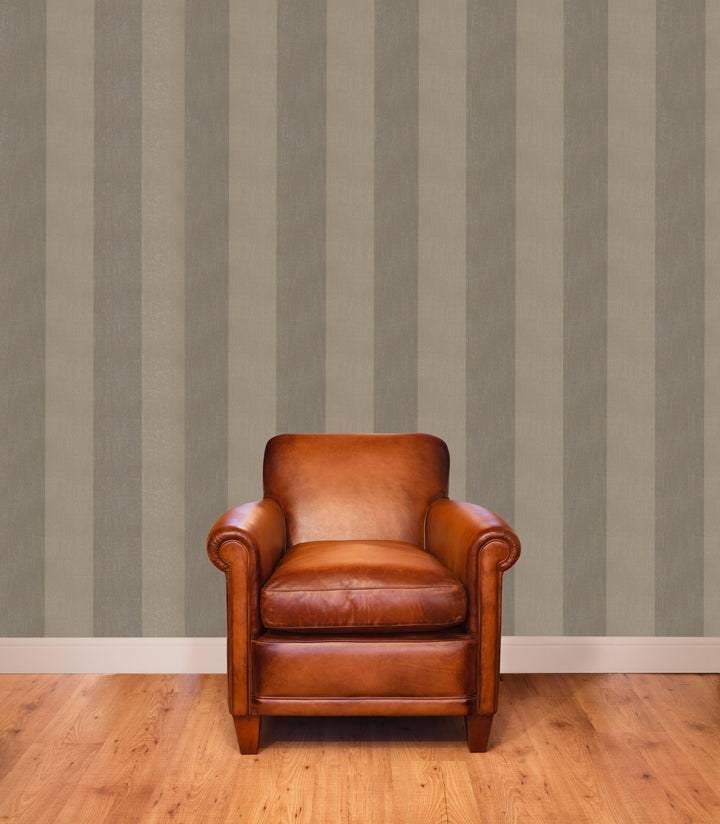 Prince Charles Earth Stripe Wallpaper 82302