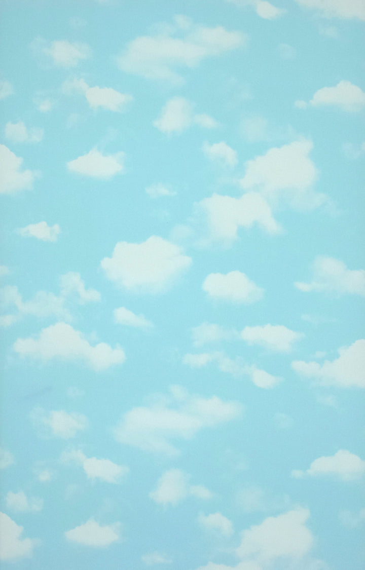 Newport B Sky Clouds Wallpaper Sk0030