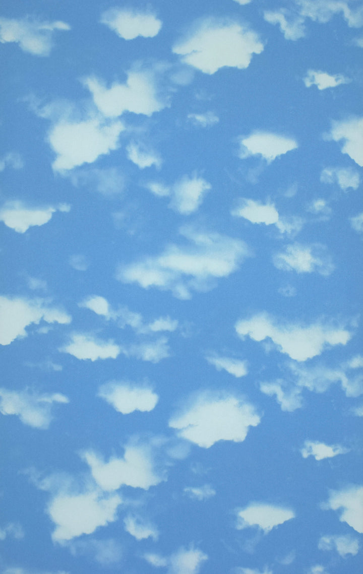 Newport B Blue Sky Wallpaper Sk0041
