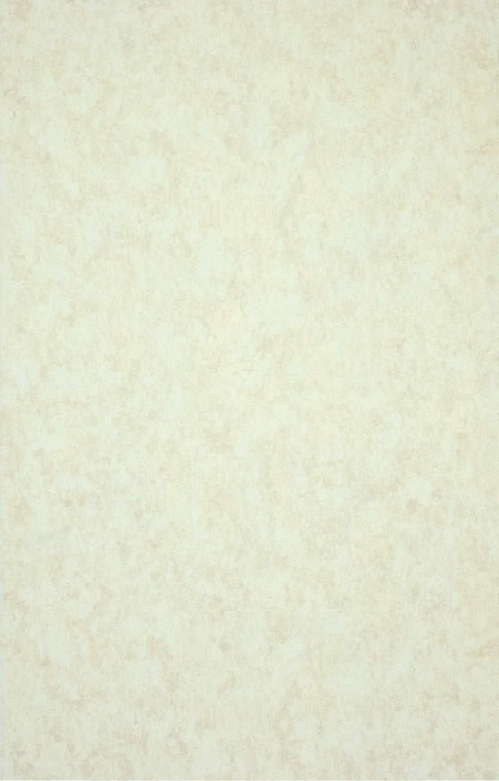 Kent A Coconut Wallpaper Sk0366