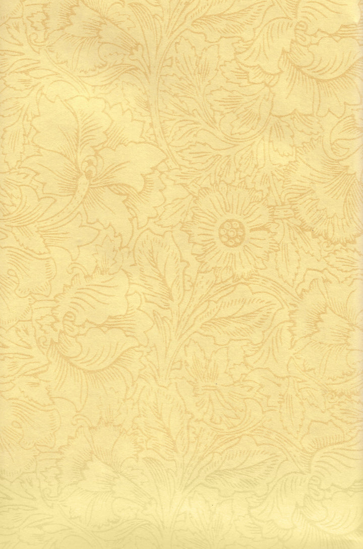 Newport A Dandelion Gold Wallpaper Sk2835