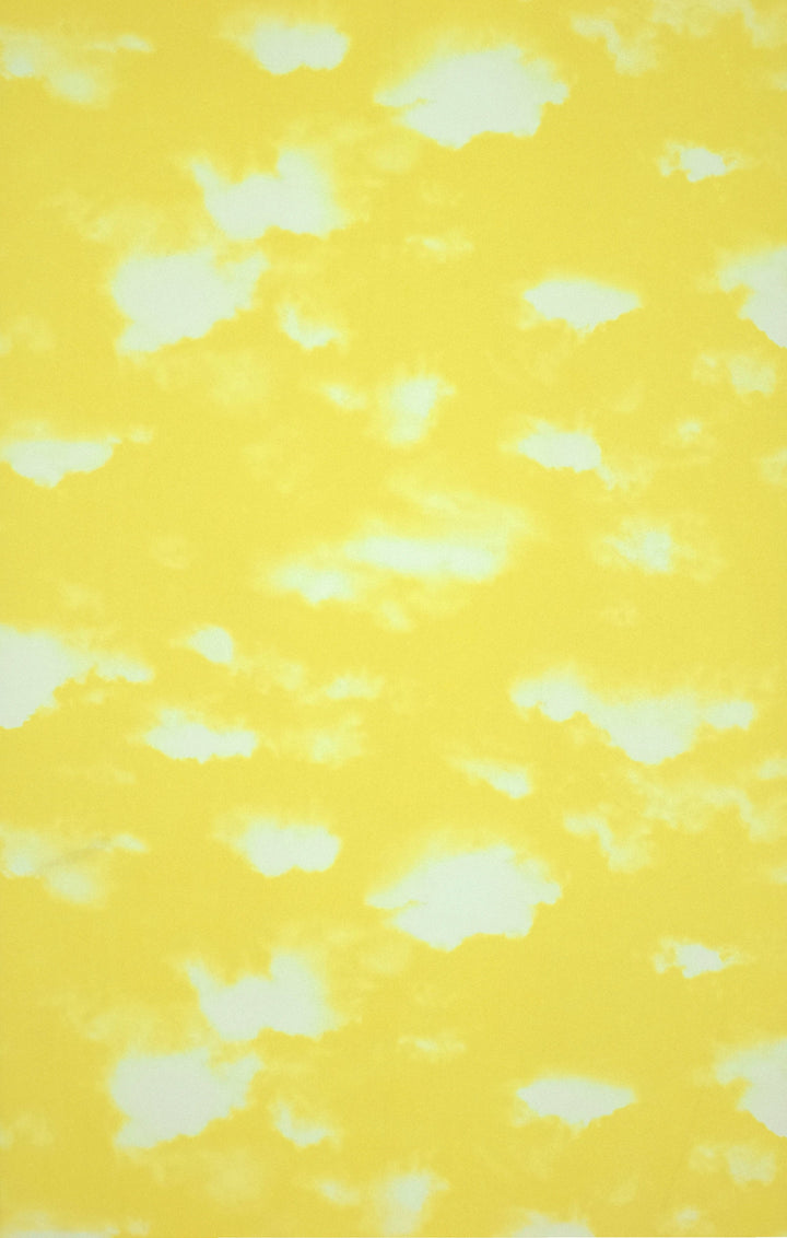 Newport B Golden Confetti Wallpaper Sk7768