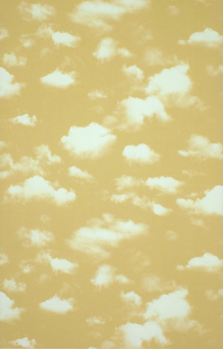 Newport B Honey Confetti Wallpaper Sk7772