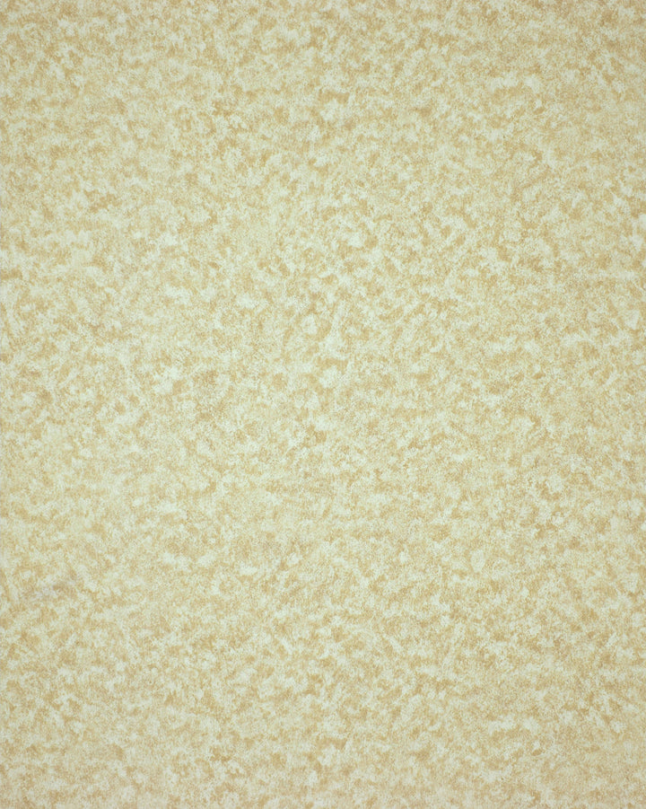 Queen Anne A Opal Shimmer Wallpaper Sk7865