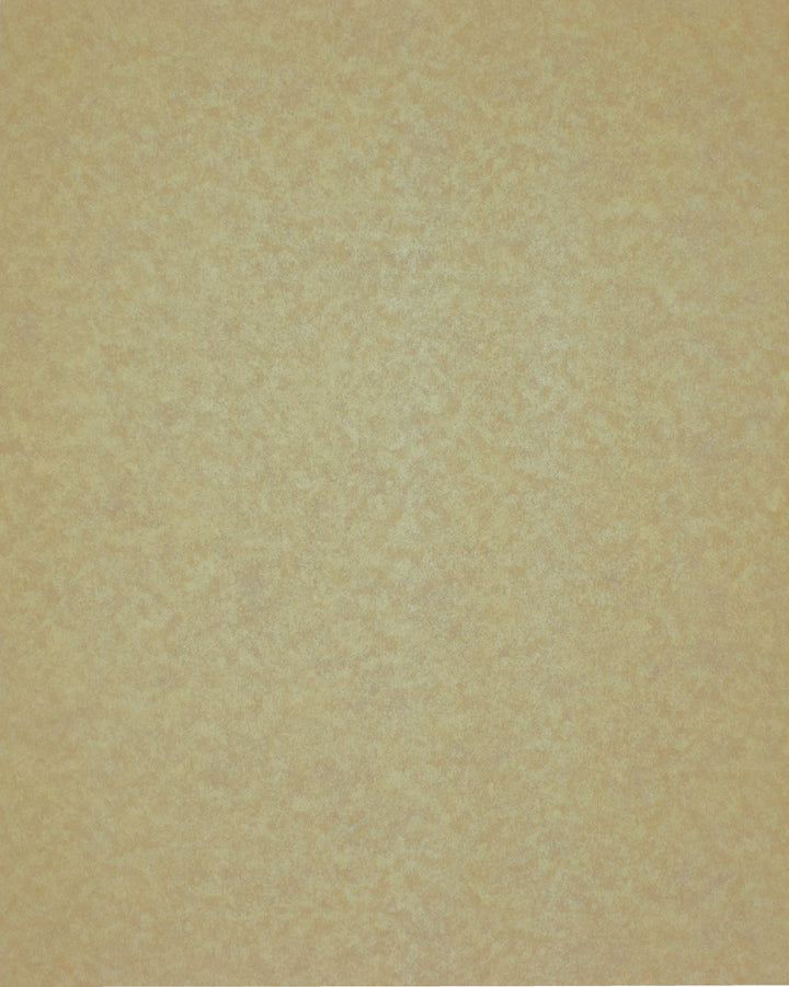 Queen Anne A Lily White Texture Wallpaper Sk7866