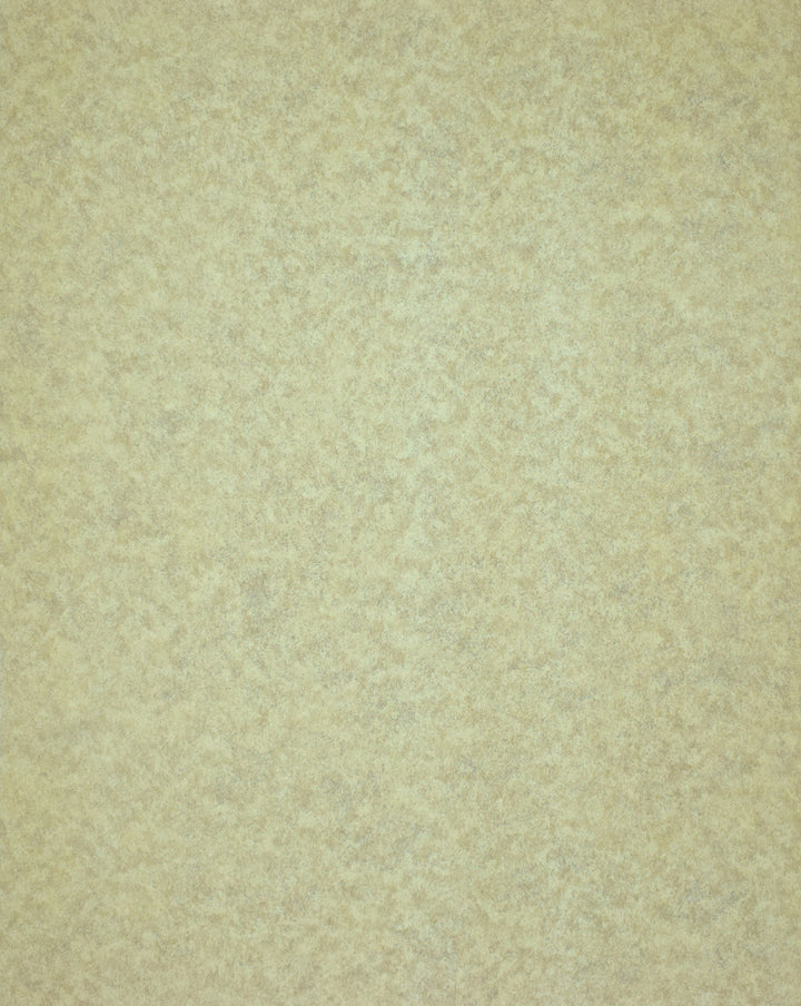 Queen Anne A Antique Taupe Wallpaper Sk7869