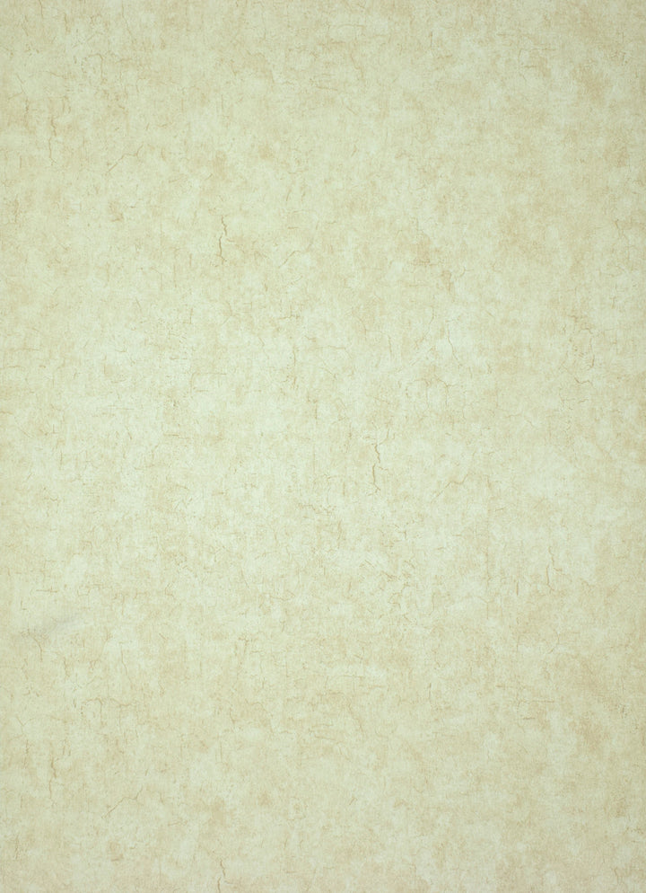 Queen Anne A Whispering Petals Wallpaper Sk7872