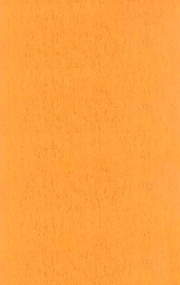 Chester Citrus Pop Wallpaper Skl39365
