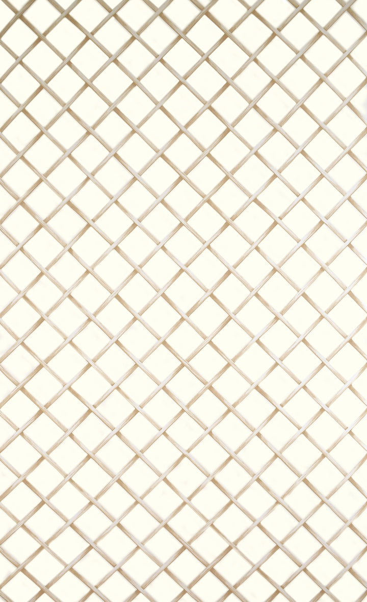 Sutton Cream Dot Wallpaper Skl63513