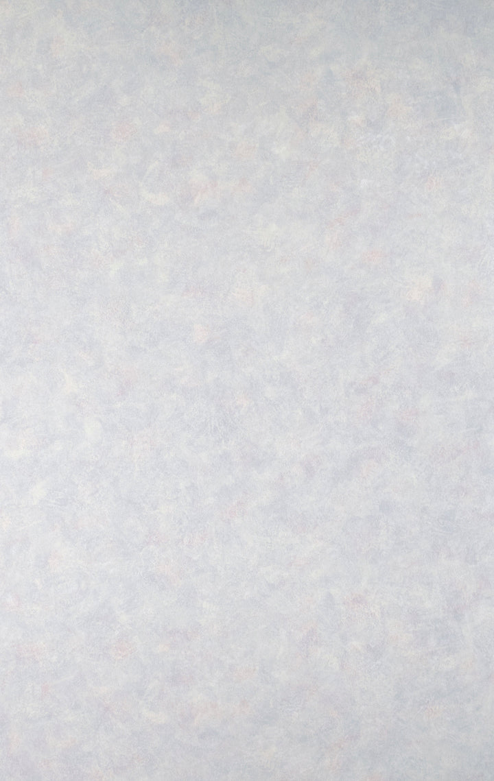 Chester Soft Steel Wallpaper Skl87849
