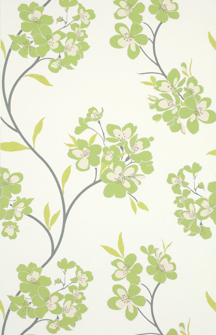 Trafalgar Square Ck Pearl Orchid Wallpaper Sku31-291