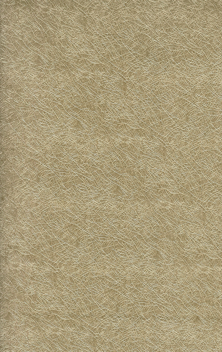 Westminster Honey Bronze Wallpaper We1212