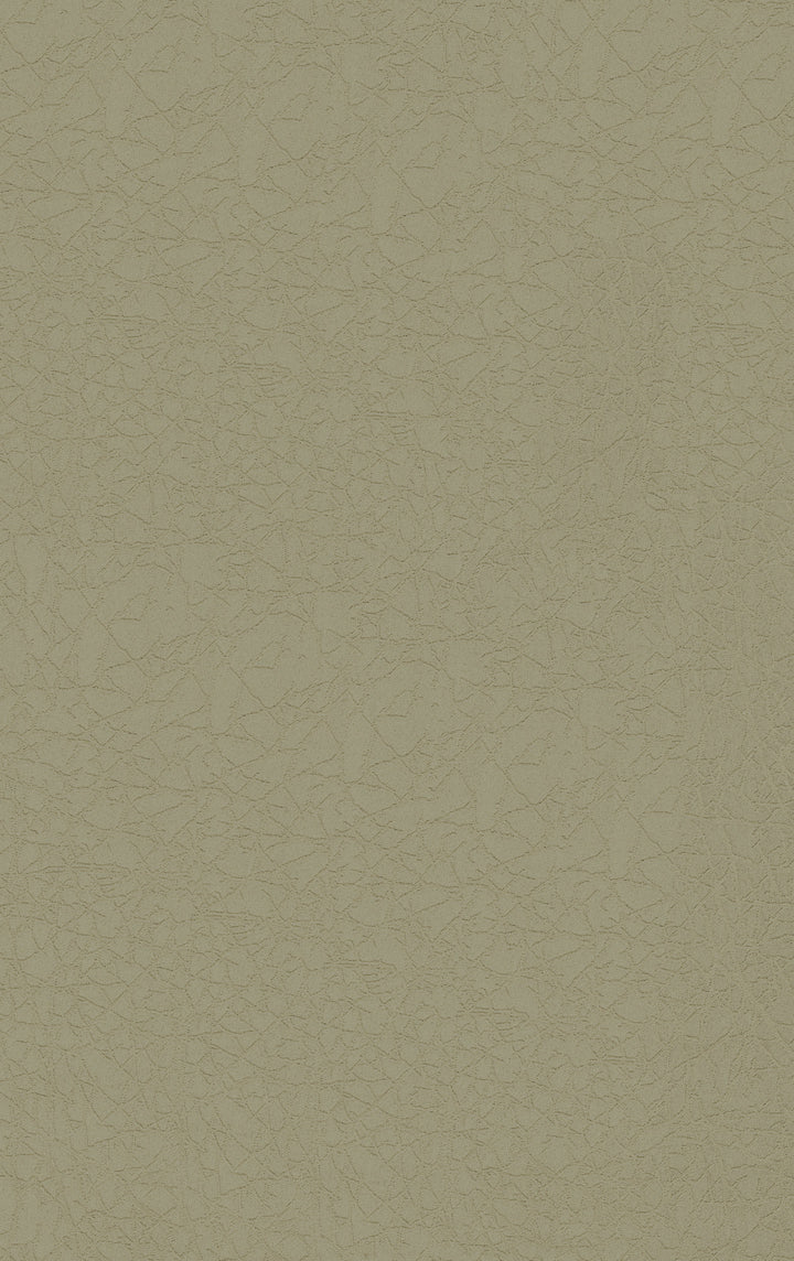 Westminster Frost Silver Wallpaper We9314