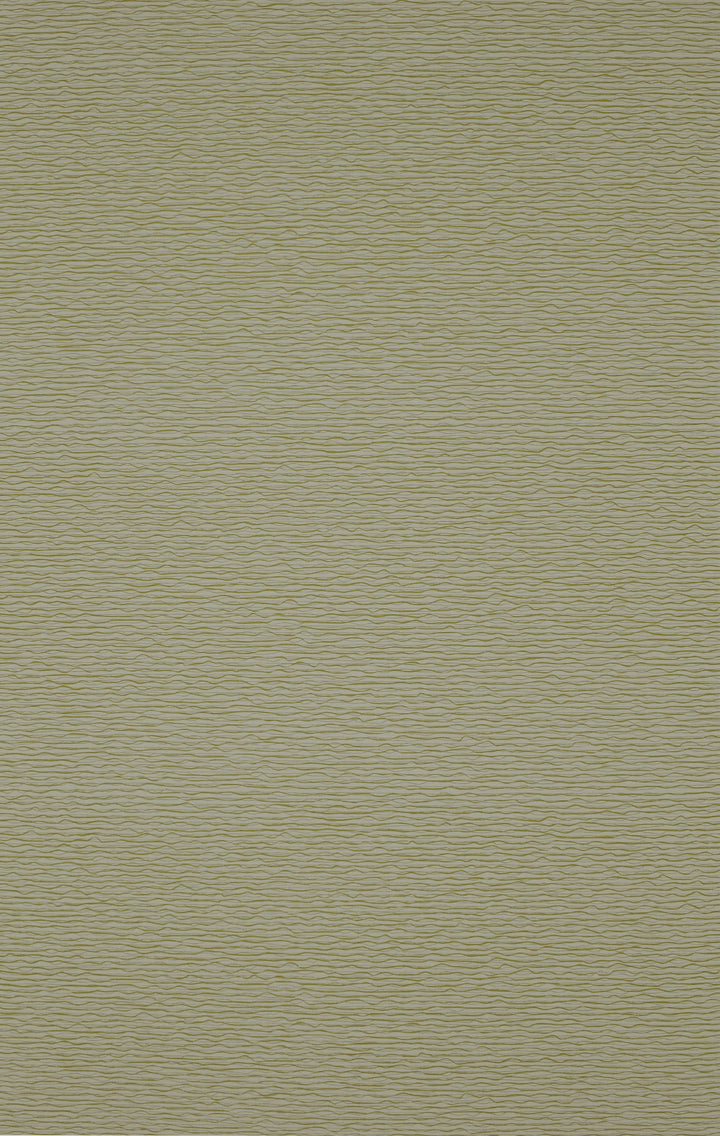 Oxford Almond Matte Finish Wallpaper 2116