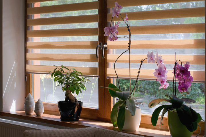 Zebra Blinds